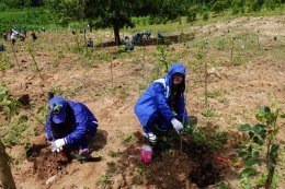 WHA Tree Planting Project "Let's Zero Togetther"