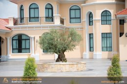 ผลงานบ้าน คุณภาณุพันธ์ SP-16 (Modern Classic)