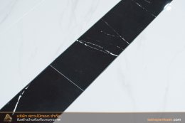 ผลงานบ้าน คุณศศิกาญจน์ (Modern Contemporary Style)