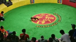 ภาพบรรยากาศ วันที่ 30 สิงหาคม 2568