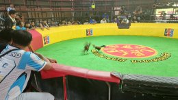 ภาพบรรยากาศ วันที่ 8 พฤศจิกายน 2568