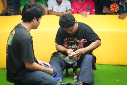ภาพบรรยากาศ วันที่ 24 พฤษภาคม 2568