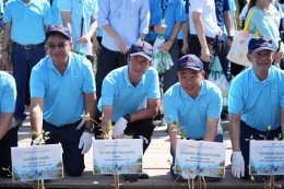 โตโยต้า มุ่งมั่นสานต่อเจตนารมณ์ในการจัดกิจกรรมปลูกป่าชายเลนอย่างต่อเนื่อง ปีที่ 18