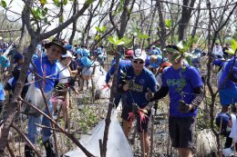 โตโยต้า มุ่งมั่นสานต่อเจตนารมณ์ในการจัดกิจกรรมปลูกป่าชายเลนอย่างต่อเนื่อง ปีที่ 18