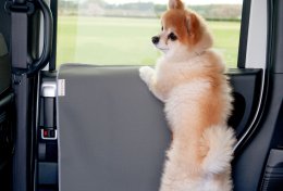 คืนชีพเจ้าพ่อทรงกล่อง! Honda STEP WGN e:HEV SPADA เปิดตัวอย่างเป็นทางการในไทย ราคา 1.78 ล้านบาท นำเข้าจากญี่ปุ่นทั้งคัน พร้อมส่งมอบทันที