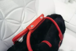 Maybach SL680 Monogram  เปิดประทุนลายแน่น แพงจัดเหมือนเอากระเป๋า LV มาทำเป็นรถ!