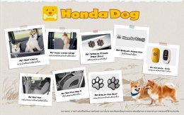 คืนชีพเจ้าพ่อทรงกล่อง! Honda STEP WGN e:HEV SPADA เปิดตัวอย่างเป็นทางการในไทย ราคา 1.78 ล้านบาท นำเข้าจากญี่ปุ่นทั้งคัน พร้อมส่งมอบทันที