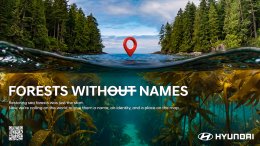 ฮุนไดชวนตั้งชื่อให้ป่า! เปิดตัวแคมเปญ Forests Without Names ปลุกกระแสฟื้นฟูระบบนิเวศใต้ทะเลรับมือโลกร้อน
