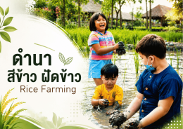 Sustainability in the City with Patom Organic Living!
