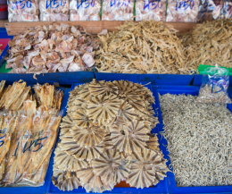 Bangsan  + Ang Si La Chonburi trip