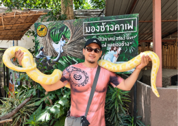 Local Tour and Cultural Experiences
