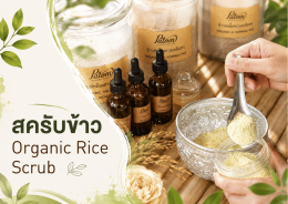 Sustainability in the City with Patom Organic Living!