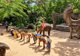Local Tour and Cultural Experiences