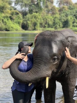 034PVT	Kanchanaburi , ELEPHANT WORLD + Lunch  + Bridge over the River Kwai + SKYWALK Kanchanaburi +  Guide