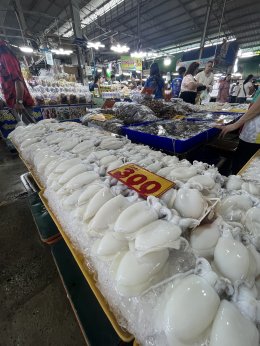 Bangsan  + Ang Si La Chonburi trip