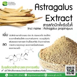 สารสกัด Astragalus Extract