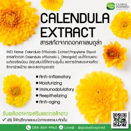 Calendula Extract คืออะไร