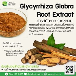 Glycyrrhiza Glabra Root Extract : สารสกัดจาก รากชะเอม 
