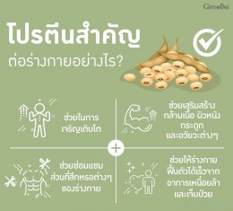 ทำไมเราควรดื่มโปรตีนจากพืช Plant Based Protein 