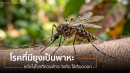 โรคที่มากับน้ำท่วม ผู้สูงอายุควรระวังอะไรบ้าง? พร้อมวิธีป้องกันที่ครอบครัวควรรู้