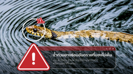 วิธีรับมือน้ำท่วม เตรียมบ้านและดูแลผู้สูงอายุให้ปลอดภัย