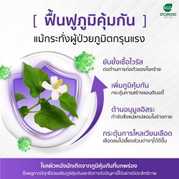 พลูคาว ฟื้นฟูภูมิคุ้มกันและป้องกันโรคผิวหนังอย่างได้ผล