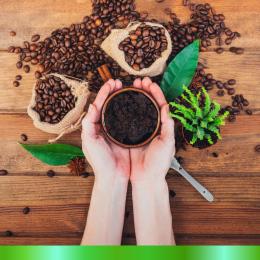 Coffee grounds, benefits for plants after drinking