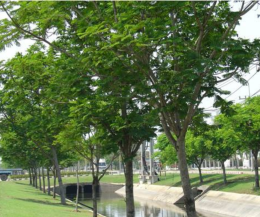 Industrial Area Landscaping: Enhancing Business Value with Green Spaces