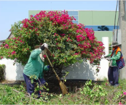 Industrial Area Landscaping: Enhancing Business Value with Green Spaces