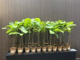 Amata City Chonburi Strengthens Industrial Collaboration at Carbon Neutrality Conference 2025