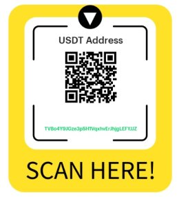 You can make the payment using USDT