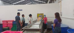 Visit the factory in Ranong Province