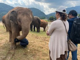 SBS filming a documentary