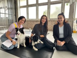 Dog fitness workshop