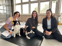 Dog fitness workshop