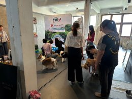 Dog fitness workshop