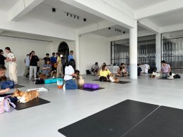 Dog fitness workshop