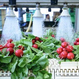 นวัตกรรมการล้างผักและผลไม้ด้วยระบบไมโครนาโนบับเบิลโอโซน Innovative Fruits and Vegetables Washing with Micro-nano Bubble Ozone System