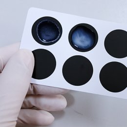 เทคนิคการตรวจวิเคราะห์เชื้อจุลินทรีย์ในอาหารอย่างรวดเร็ว Rapid Food Microbiological Analysis Techniques
