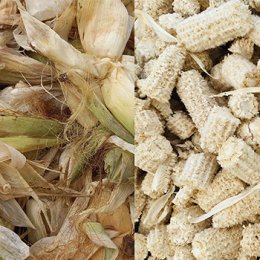 นวัตกรรมบรรจุภัณฑ์: การใช้ประโยชน์เส้นใยและเซลลูโลสจากวัสดุเหลือทิ้งทางการเกษตร Packaging Innovation: Application of Fiber and Cellulose from Agricultural Wastes