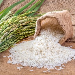 ส่วนผสมอาหารมูลค่าสูงจากผลพลอยได้ของข้าวและผลหม่อนเพื่อเสริมฤทธิ์ทางชีวภาพ High-value Ingredients from Rice and Mulberry’s By-products for Enhancing Bioactivities