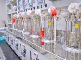 การหมักแบบแม่นยำ: อนาคตโปรตีนอาหารเพื่อความยั่งยืน Precision Fermentation : The Next Frontier for Sustainable Food Proteins