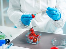 นวัตกรรมการตรวจสอบรวดเร็ว: ทางลัดสู่การเสริมสร้างระบบคุณภาพที่เข้มแข็ง Rapid Inspection Innovations: The Shortcut to Strengthening a Robust Quality System