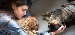  ปรากฎการณ์ Pet Humanization ต่อการพัฒนาขนมสัตว์เลี้ยงยุคใหม่ Pet Humanization and Its Impact on Treat Formulation Trends