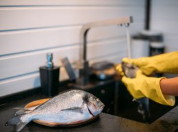 แนวทางบูรณาการในการควบคุมเชื้อก่อโรคสำหรับอุตสาหกรรมเนื้อสัตว์และสัตว์ปีก Integrated Strategies for Pathogen Management in the Meat and Poultry Industry