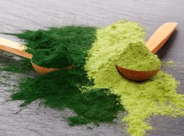 เปลี่ยนโลก อุตสาหกรรมโปรตีนทางเลือกไทยด้วยพลังเทคโนโลยี Transformative Technologies Shaping Thailands Alternative Protein Industry