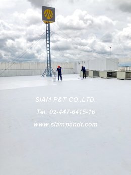 งานติดตั้งระบบกันซึมชนิดทา INNOGUARD LIQUID WATERPROOFING MEMBRANE ธนาคารกรุงศรีฯสาขาสี่แยกสนามบินเชียงใหม่