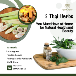 5 Thai Herbs You Should Have at Home 