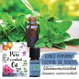 Peppermint Pure Essential Oil