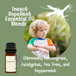 Bye-Bye Bugs: All-Natural Insect Repellent 